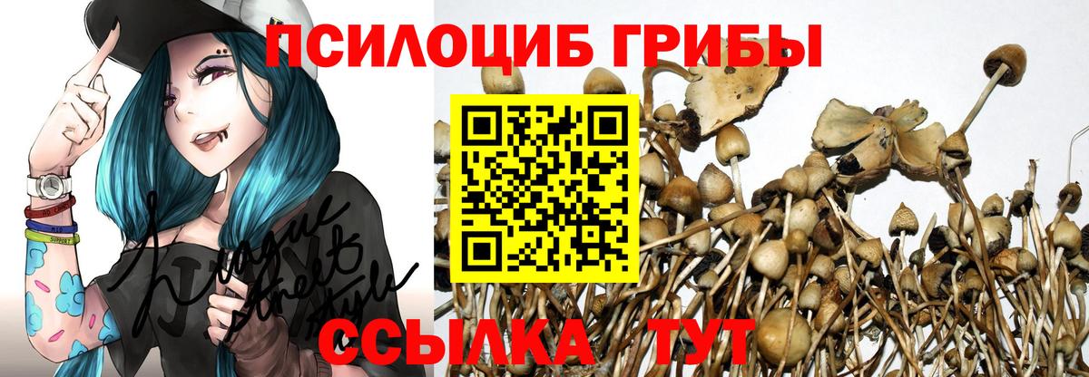 Галлюциногенные грибы мухоморы  Псилоцибиновые грибы Magic Shrooms  Вход с VPN  Лобня 
