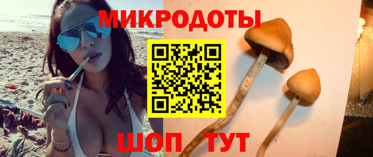 APVP Лобня