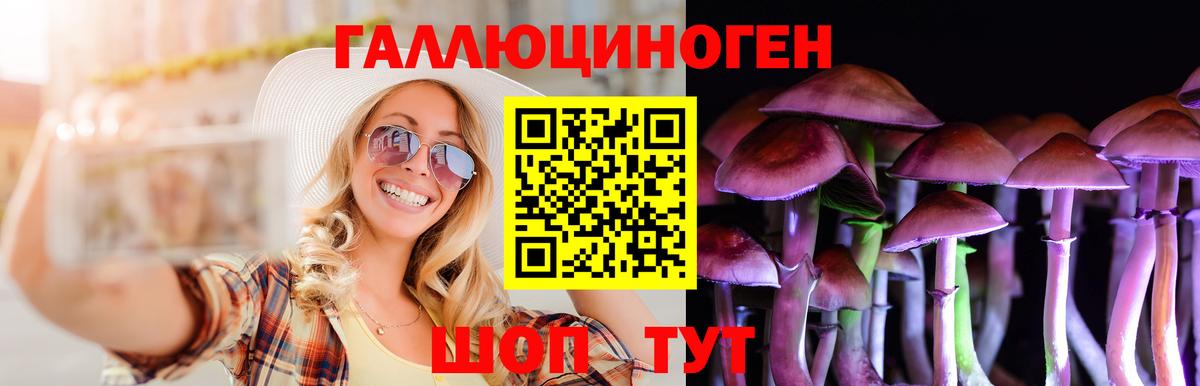 Галлюциногенные грибы GOLDEN TEACHER  Галлюциногенные грибы Cubensis  наркота  Лобня 